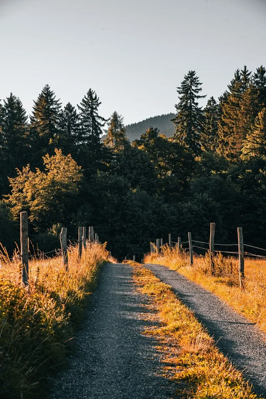 Przyszłość Mobilności: AI, IoT i MaaS w Mieście